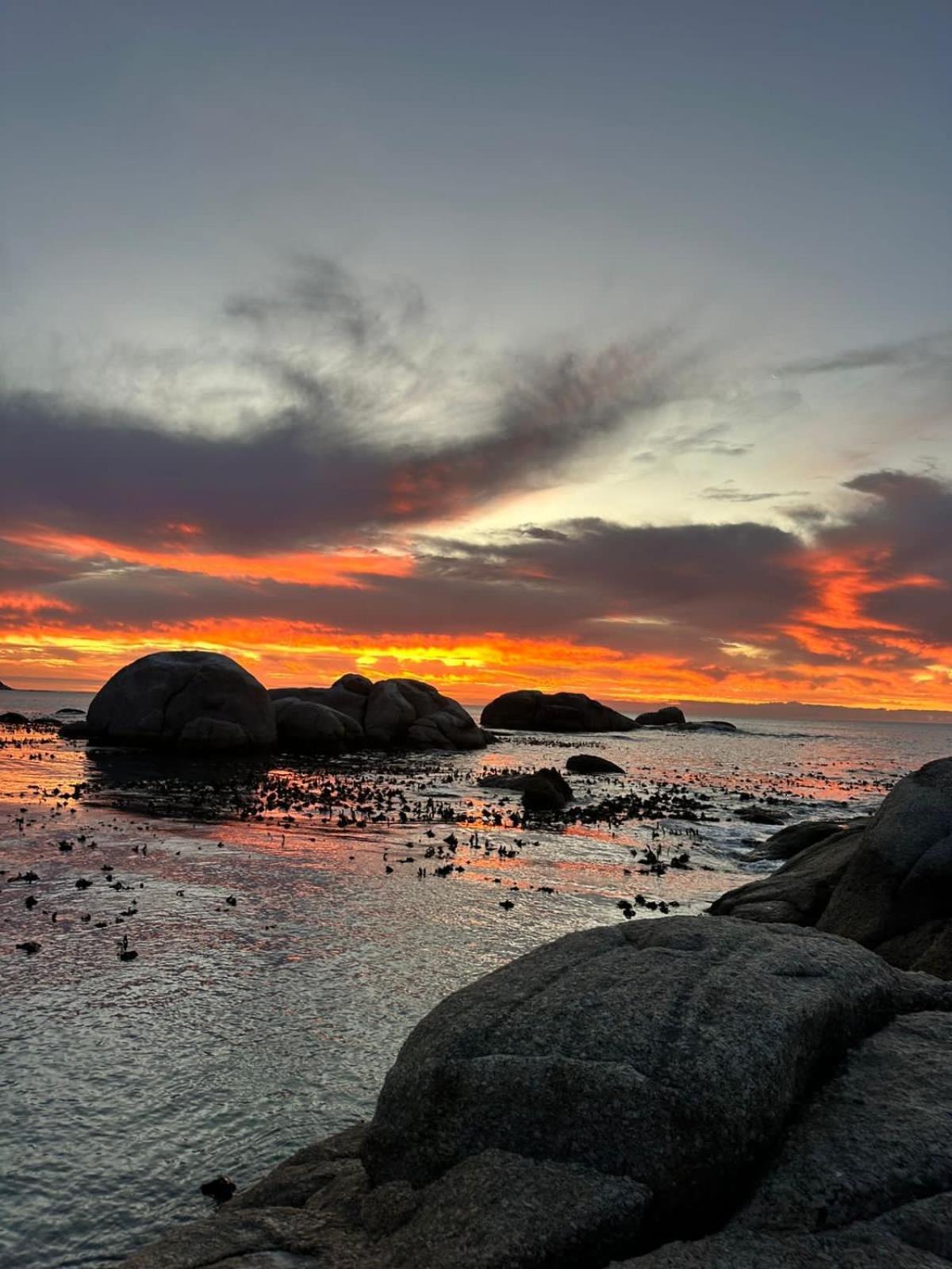 Mettahouse Villa Cape Town Dış mekan fotoğraf