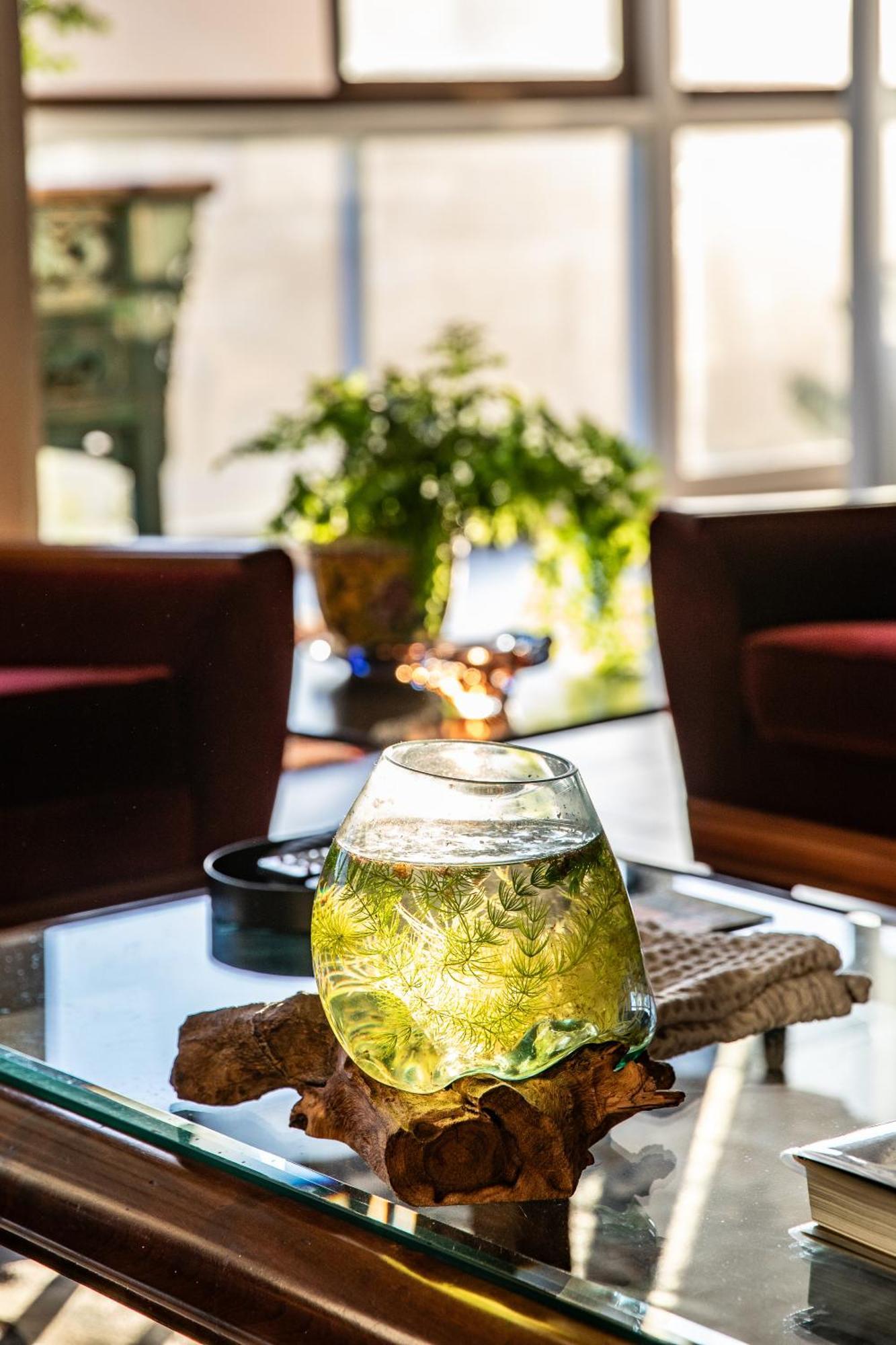 Mettahouse Villa Cape Town Dış mekan fotoğraf
